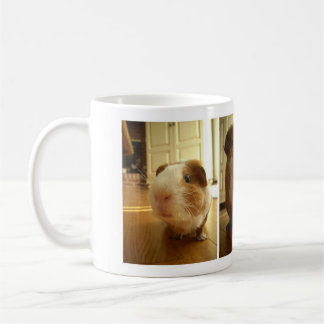Expressions of a Guinea Pig: Mug