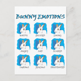 EXPRESSIONS POSTCARD