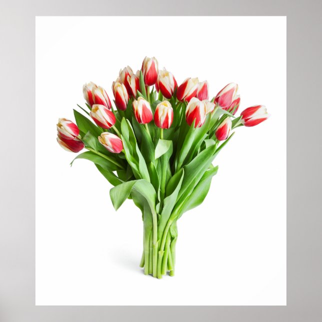 Exquisite Flowers Poster - Tulips (Front)