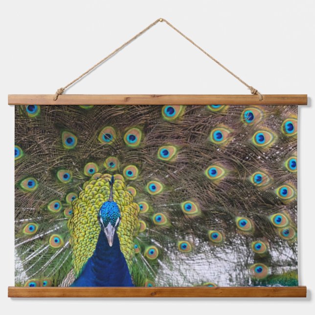 Exquisite Peacock Feather Hanging Tapestry (Front)