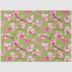 Exquisite Pink Cherry Blossoms on Chartreuse Tissue Paper