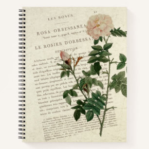Exquisite Rosa Orbessanea Vintage Notebook