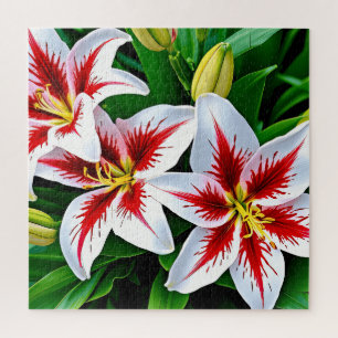 Exquisite white lilies  jigsaw puzzle