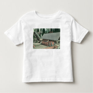 Exterior View of Benton's MillRedding, CA Toddler T-Shirt