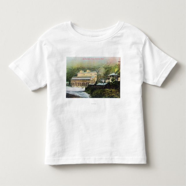 Exterior View of Electric Power Plant Toddler T-Shirt (Front)