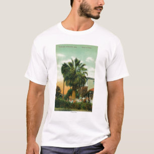 Exterior View of Hotel au Palm T-Shirt