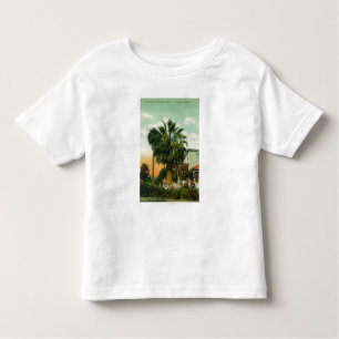Exterior View of Hotel au Palm Toddler T-Shirt