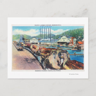 Exterior View of Pacific Lumber Co, Redwood Postcard