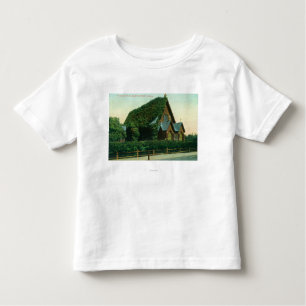 Exterior View of Presbyterian Church Toddler T-Shirt