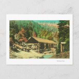 Exterior View of Saw Mill on Bodfish Creek Postcard