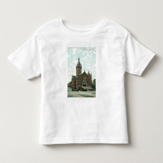Exterior View of St. Mary's Cathedral Toddler T-Shirt (Front)