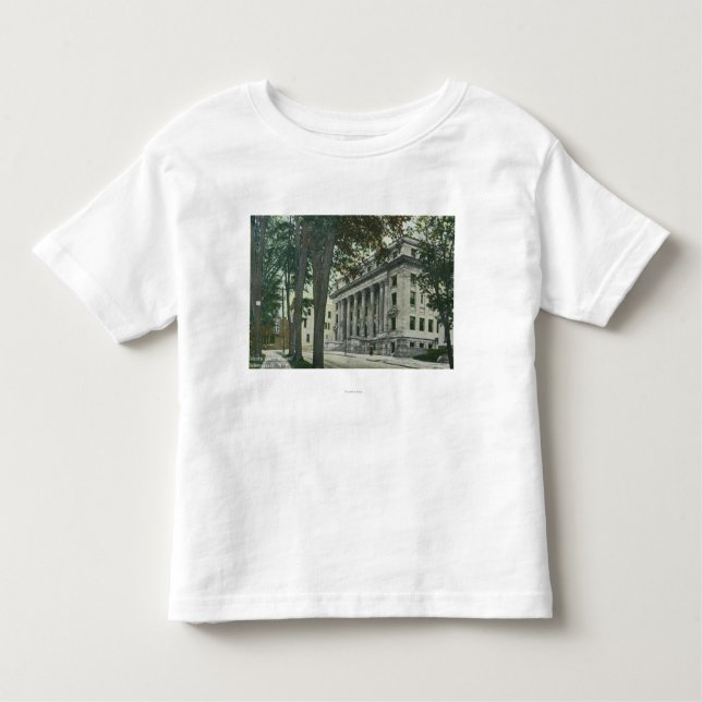 Exterior View of the County Court House Toddler T-Shirt (Front)