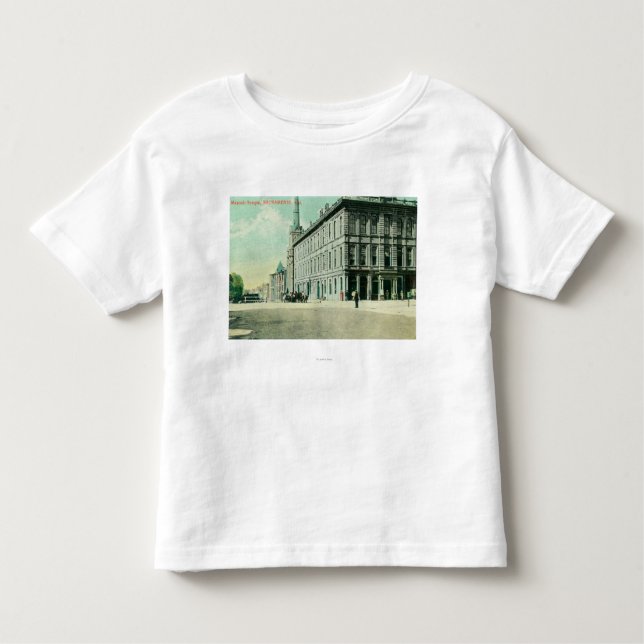 Exterior View of the Masonic Temple Toddler T-Shirt (Front)