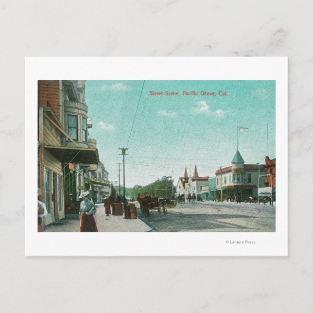 Exterior View of the Old Custom House Postcard (Front)