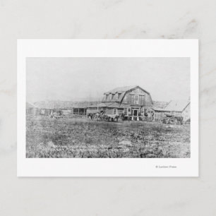 Exterior View of the Original Occidental Hotel Postcard