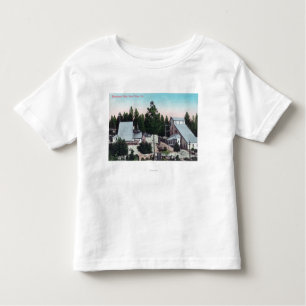 Exterior View of the Pennsylvania Mine Toddler T-Shirt