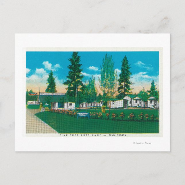 Exterior View of the Pine Tree Auto Camp Postcard (Front)