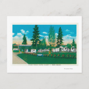 Exterior View of the Pine Tree Auto Camp Postcard