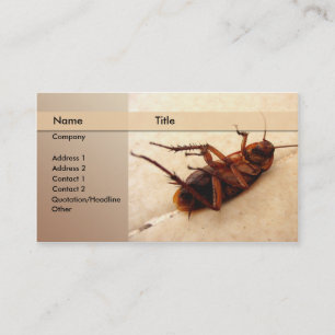 exterminator business card