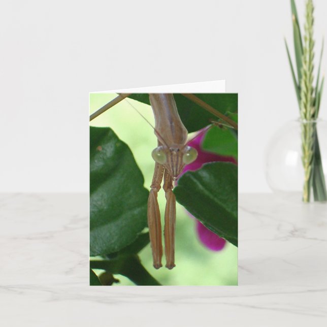 Exterminator Notecard (Front)