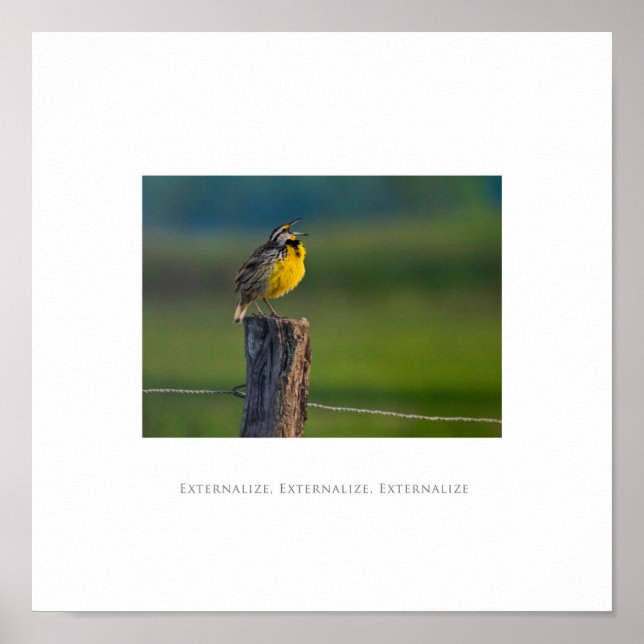 Externalise, Externalise, Externalise Poster (Front)