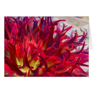 Exterra Dahlia