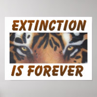 Extinction is forever