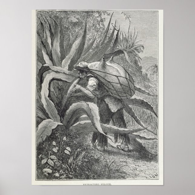 Extracting Pulque Poster (Front)