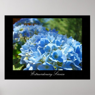 Extraordinary Service Office Fine Art Prints Blue