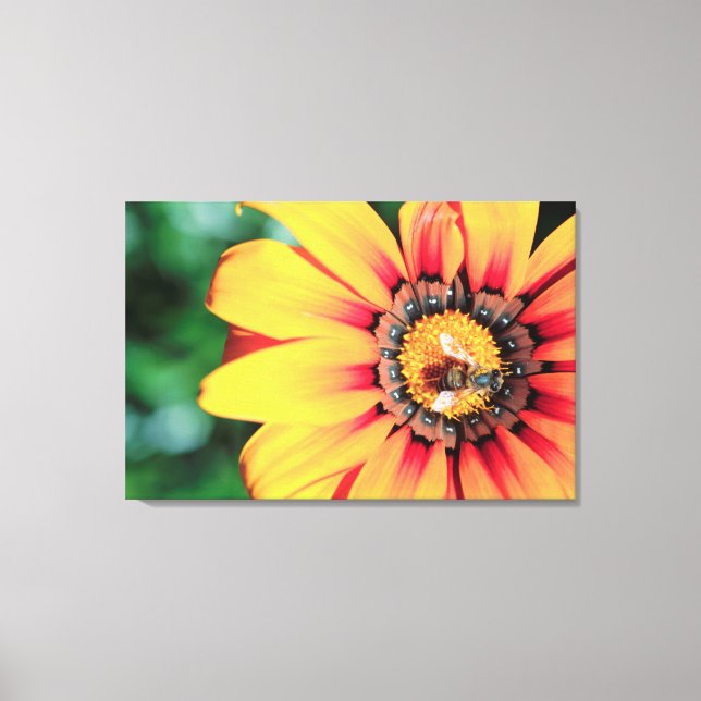 Extreme Close-Up Of A Bee Collecting Pollen Canvas Print (Front)