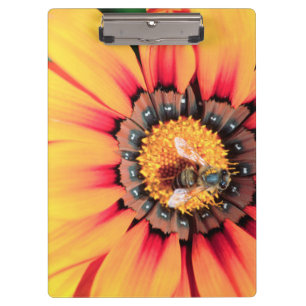 Extreme Close-Up Of A Bee Collecting Pollen Clipboard