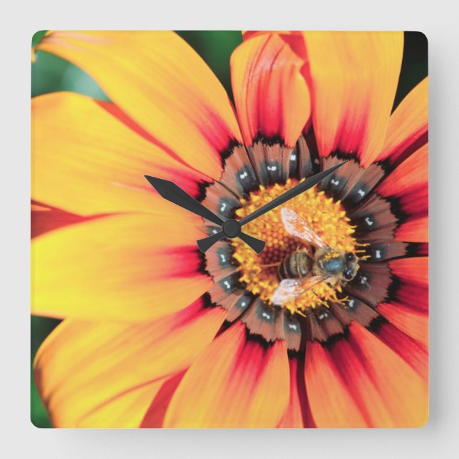 Extreme Close-Up Of A Bee Collecting Pollen Square Wall Clock (Front)