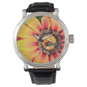 Extreme Close-Up Of A Bee Collecting Pollen Watch