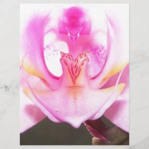 extreme close up of the inside of an orchid flower