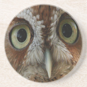 Extreme Owl Coaster