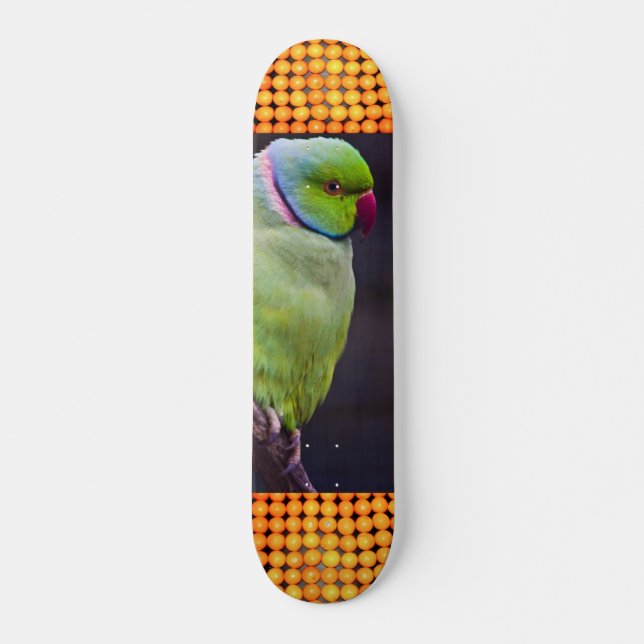 Extreme Sports Tropics Skateboard (Front)