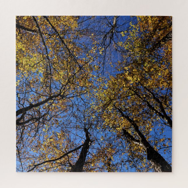 Extremely Challenging Nature Puzzles For Adults (Vertical)