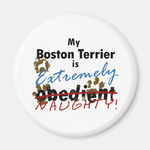 Extremely Naughty Boston Terrier Magnet