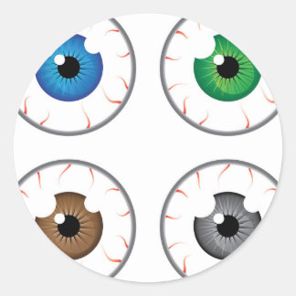 Eye ball blue green brown grey classic round sticker