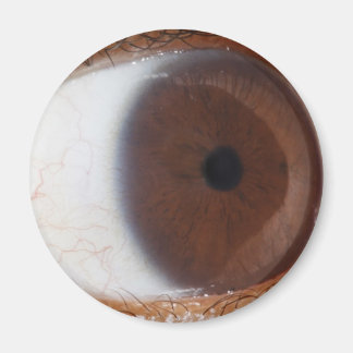 Eye Ball Magnet