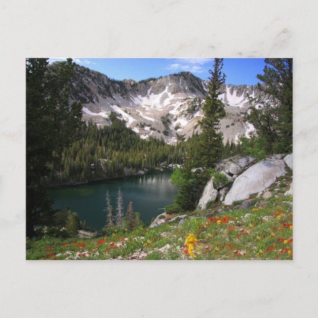 Eye Candy Postcard (Front)