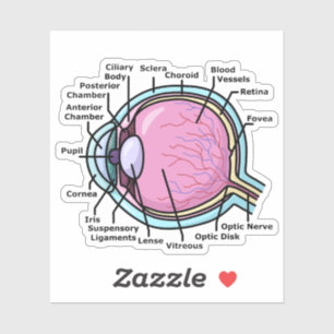Eye Diagram