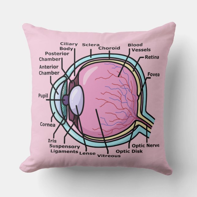 Eye Diagram Cushion (Front)