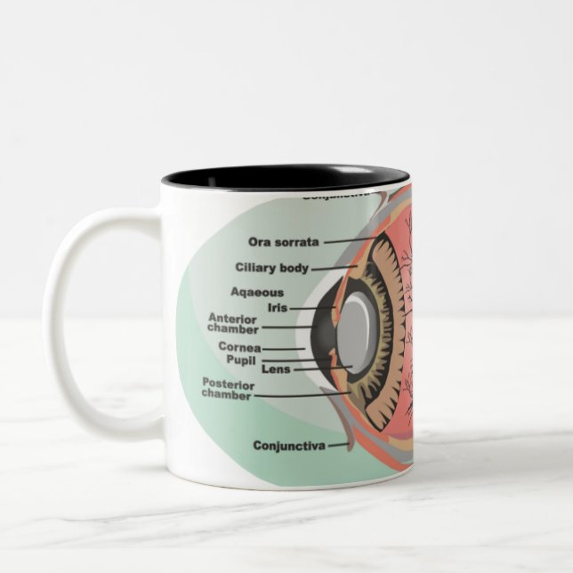 Eye Diagram for National Eye Care Month Two-Tone Coffee Mug (Left)