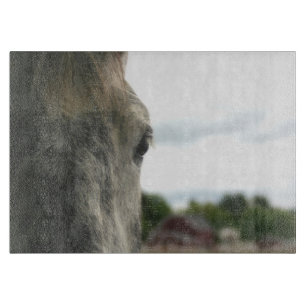 Eye Of A Dapple Grey Horse Animal Cutting Board