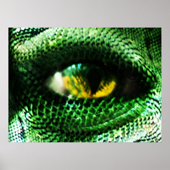 Eye of a ... ? poster (Front)