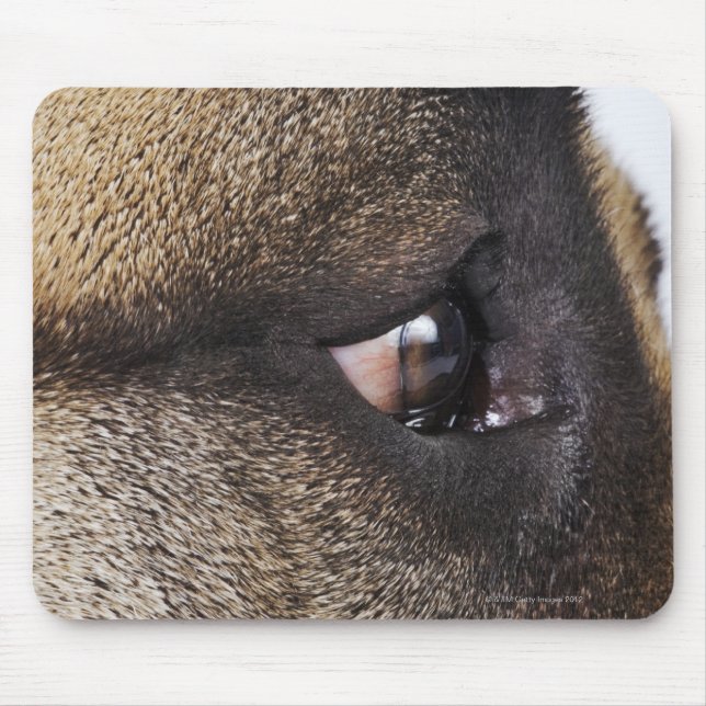 Eye of Great Dane Mouse Pad (Front)
