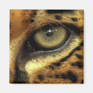 EYE OF JAGUAR Big Cat Wildlife Magnet