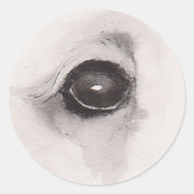 Eye of the Bear – Gaze Collection Classic Round Sticker (Front)