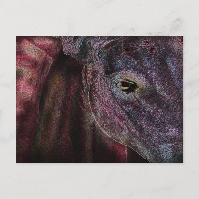 Eye of the Beholder - Post Card (Front)